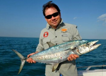 A monster PNG black bass.